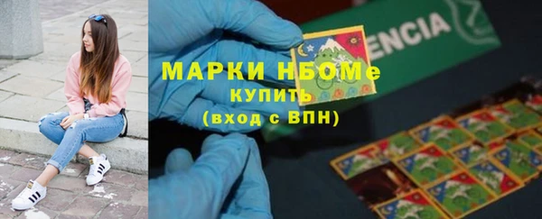 сатива Вязьма
