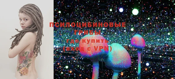 прущие грибы Вяземский