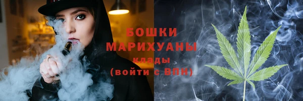 прущие грибы Вяземский