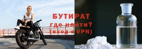 прущие грибы Вяземский