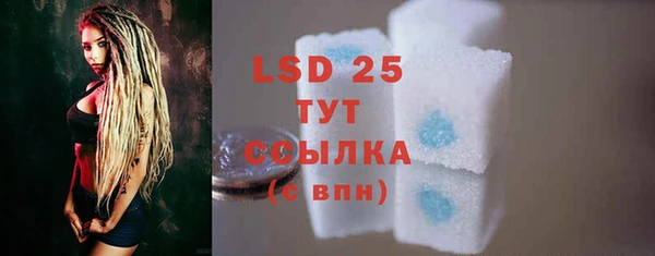 гашик Вязники
