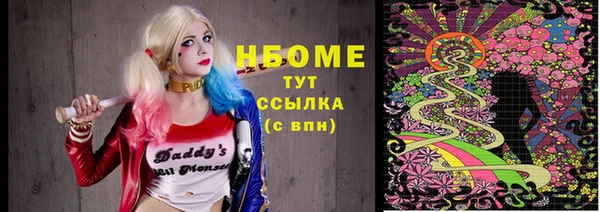 сатива Вязьма