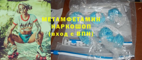 прущие грибы Вяземский