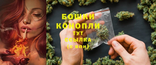 прущие грибы Вяземский