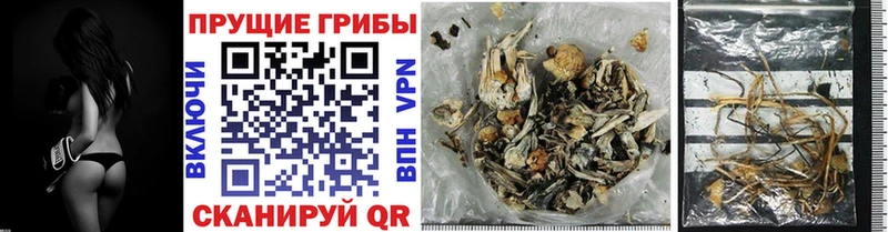 Галлюциногенные грибы GOLDEN TEACHER  наркота  Иваново 